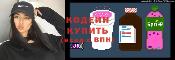 шишки Бронницы